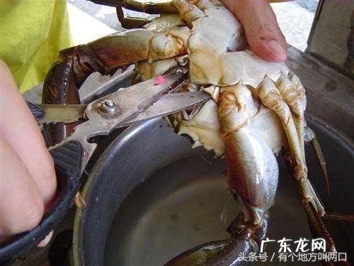 怎样清洗螃蟹的方法视频教程 螃蟹怎么清洗与做法