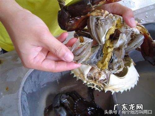 怎样清洗螃蟹的方法视频教程 螃蟹怎么清洗与做法