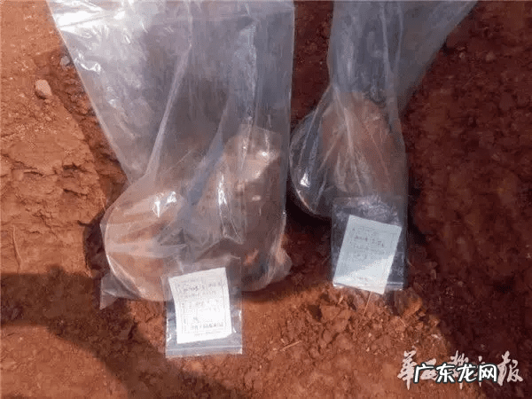 成都风水格局 成都天府新区风水