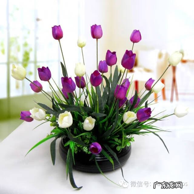 家里种土豆会不会有毒 家里种土豆会不会影响风水