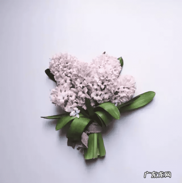 店里放什么花寓意比较好 形容店里的花茂盛风水好