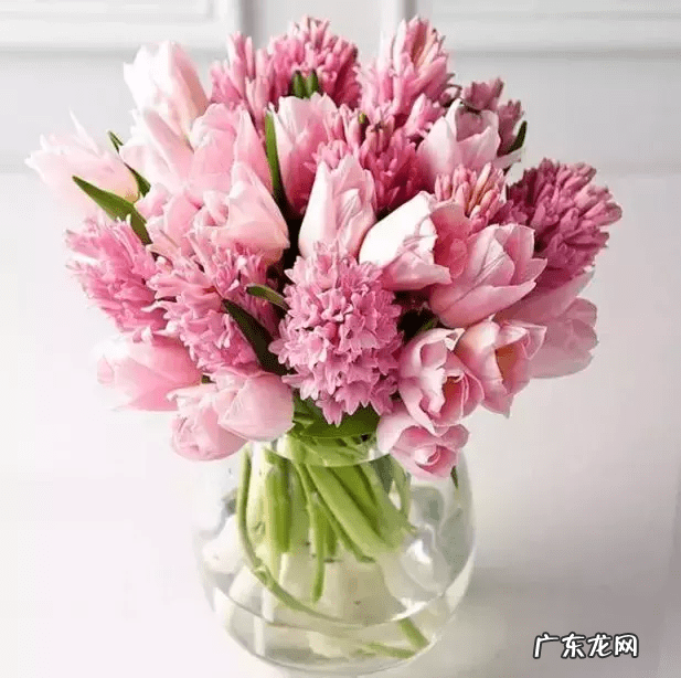 店里放什么花寓意比较好 形容店里的花茂盛风水好