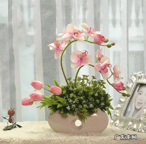 店里放什么花寓意比较好 形容店里的花茂盛风水好