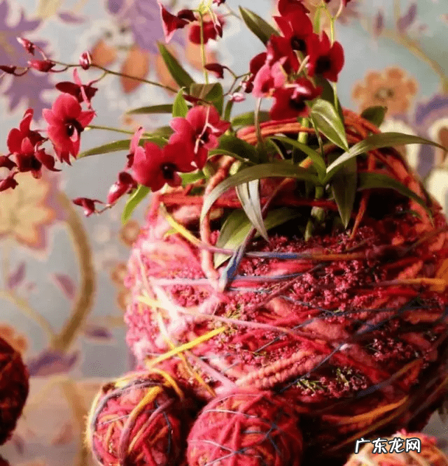 店里放什么花寓意比较好 形容店里的花茂盛风水好