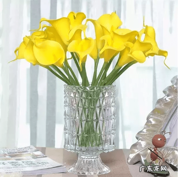 店里放什么花寓意比较好 形容店里的花茂盛风水好