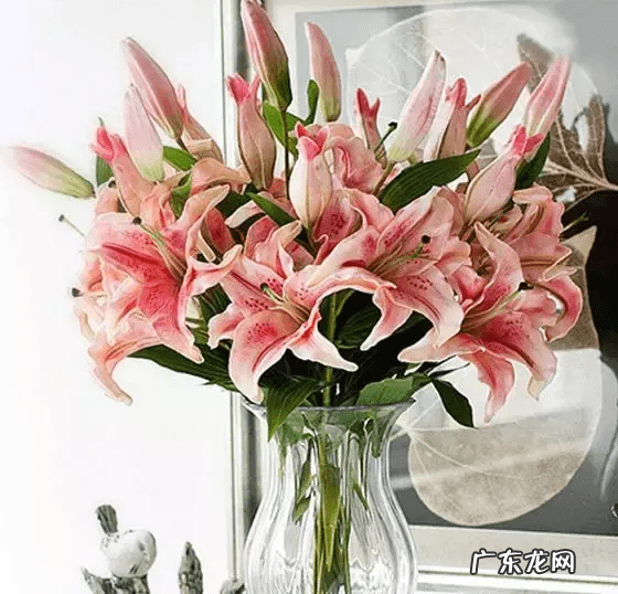 店里放什么花寓意比较好 形容店里的花茂盛风水好