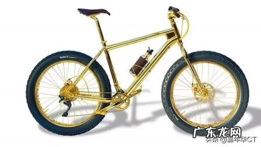 世界上最贵自行车有哪些品牌 世界上最贵的自行车是