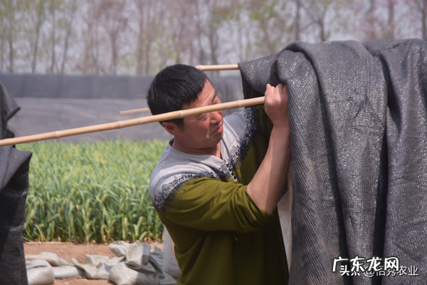 在农村做点什么小生意好 适合在农村做的小生意