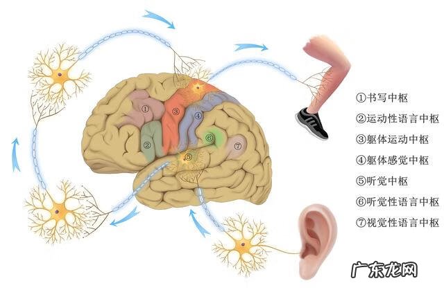 好看的班服设计 班服设计的软件