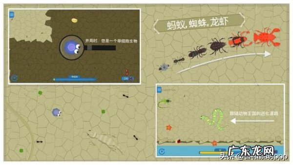 吞食鱼游戏手机版本 吞食鱼1游戏下载