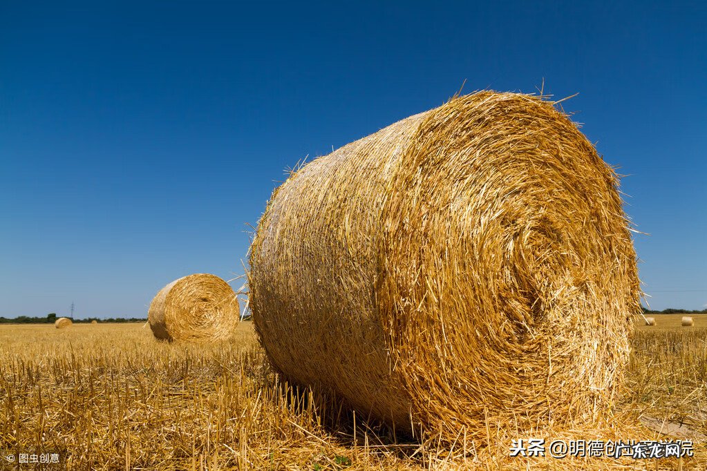 一命二运三风水图片 一命二运三风水图片大全