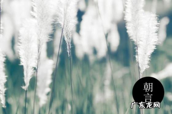 结婚感谢父母的话简短说说 50句感恩父母的感人话语图片