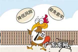 基金里的定投和买入哪个好 定投买什么样的基金好