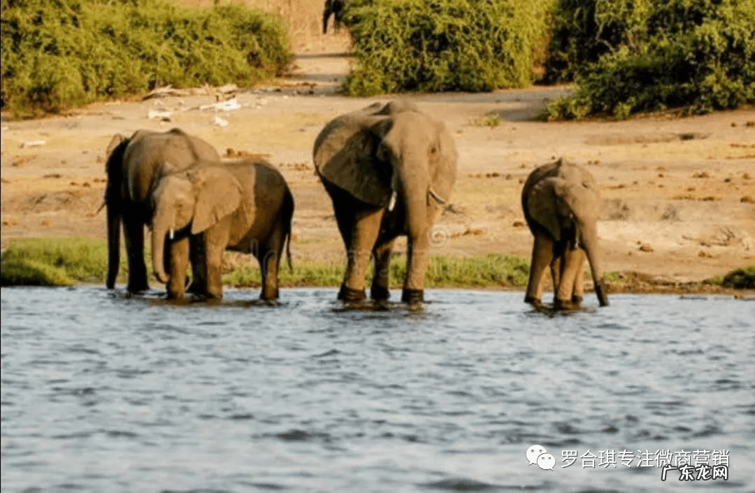 大微信客官网 微信大客户