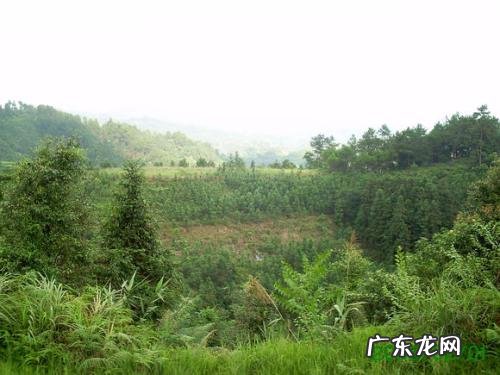 风水宝地下葬异象 风水宝地要什么人葬得