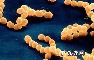 皮包炎症怎么自己处理 包.皮炎症症状