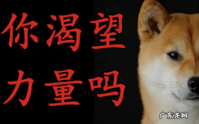 拔红旗是什么意思 拔旗是什么意思