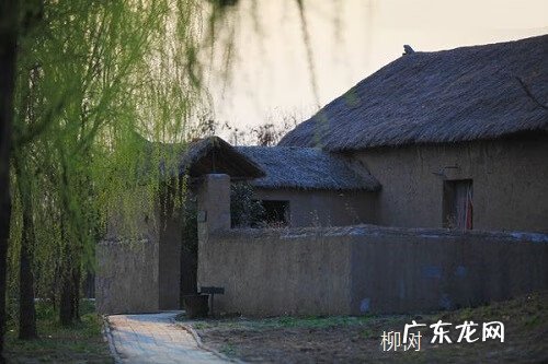 院里种葡萄树对风水好不 院子里葡萄树种在哪里风水好