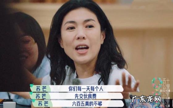 张翰郑爽背后的故事是什么 张翰脱离了郑爽的影子吗