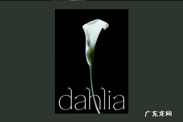 标志设计网 国外图标设计网站