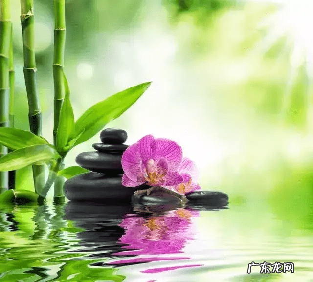 用什么头像可以带来好风水 头像的风水