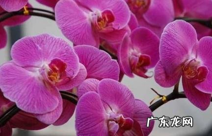 祝愿未来可期的句子 祝愿未来可期的句子简短