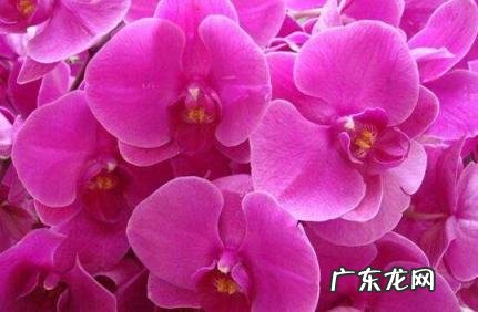 祝愿未来可期的句子 祝愿未来可期的句子简短