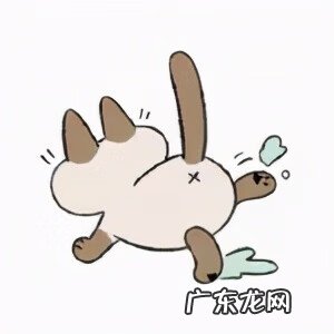 日常聊天表情包图片 聊天表情图片大全