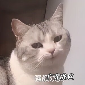 日常聊天表情包图片 聊天表情图片大全