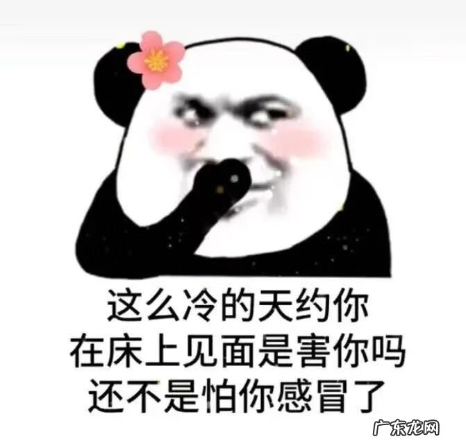 日常聊天表情包图片 聊天表情图片大全