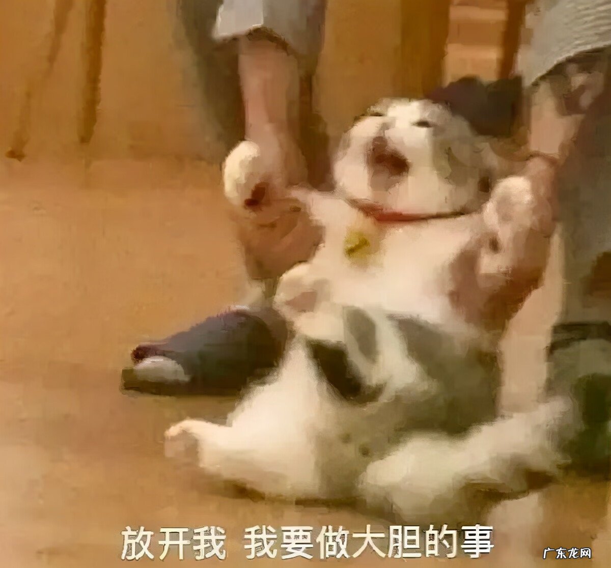 日常聊天表情包图片 聊天表情图片大全