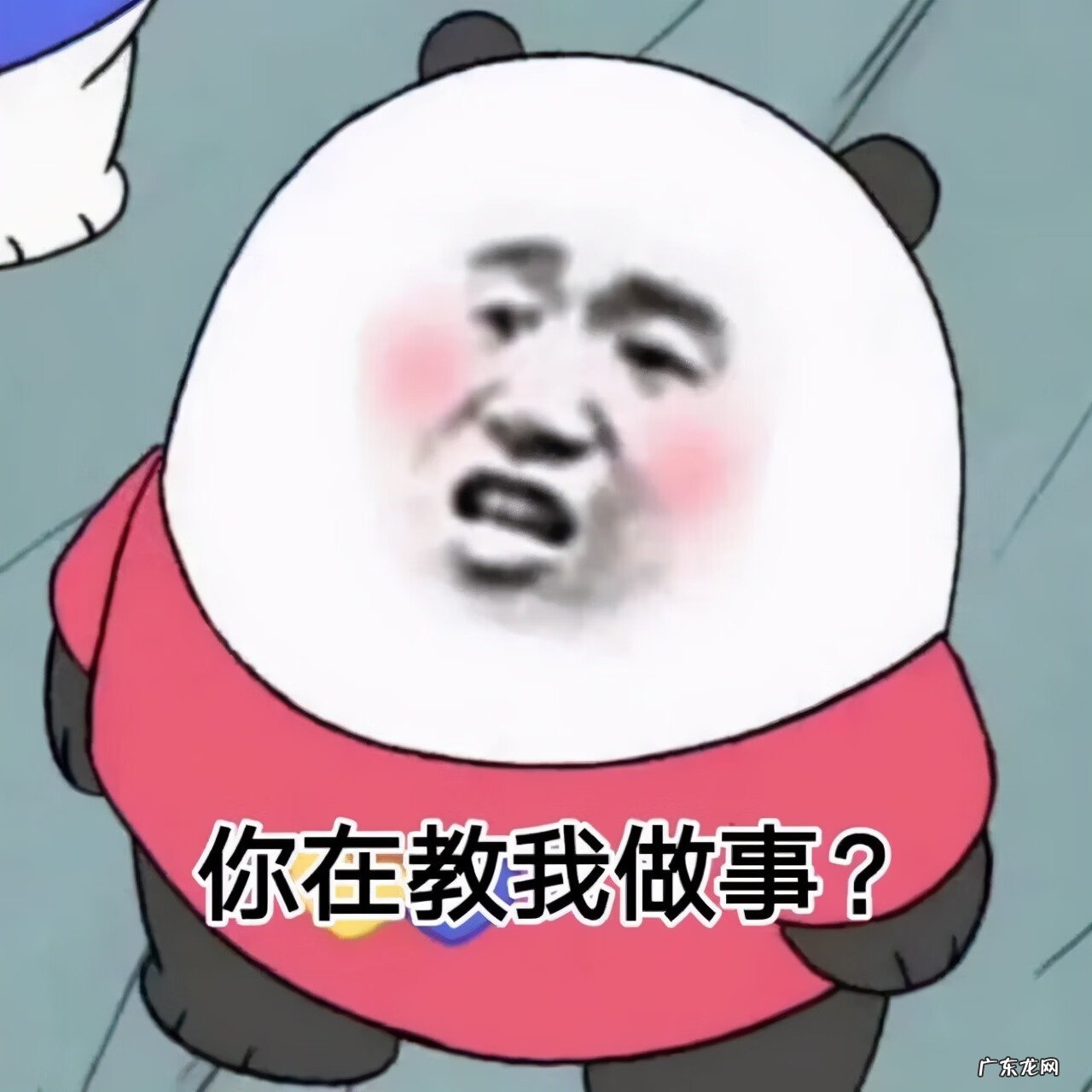 日常聊天表情包图片 聊天表情图片大全