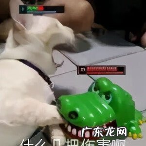 日常聊天表情包图片 聊天表情图片大全