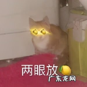 日常聊天表情包图片 聊天表情图片大全