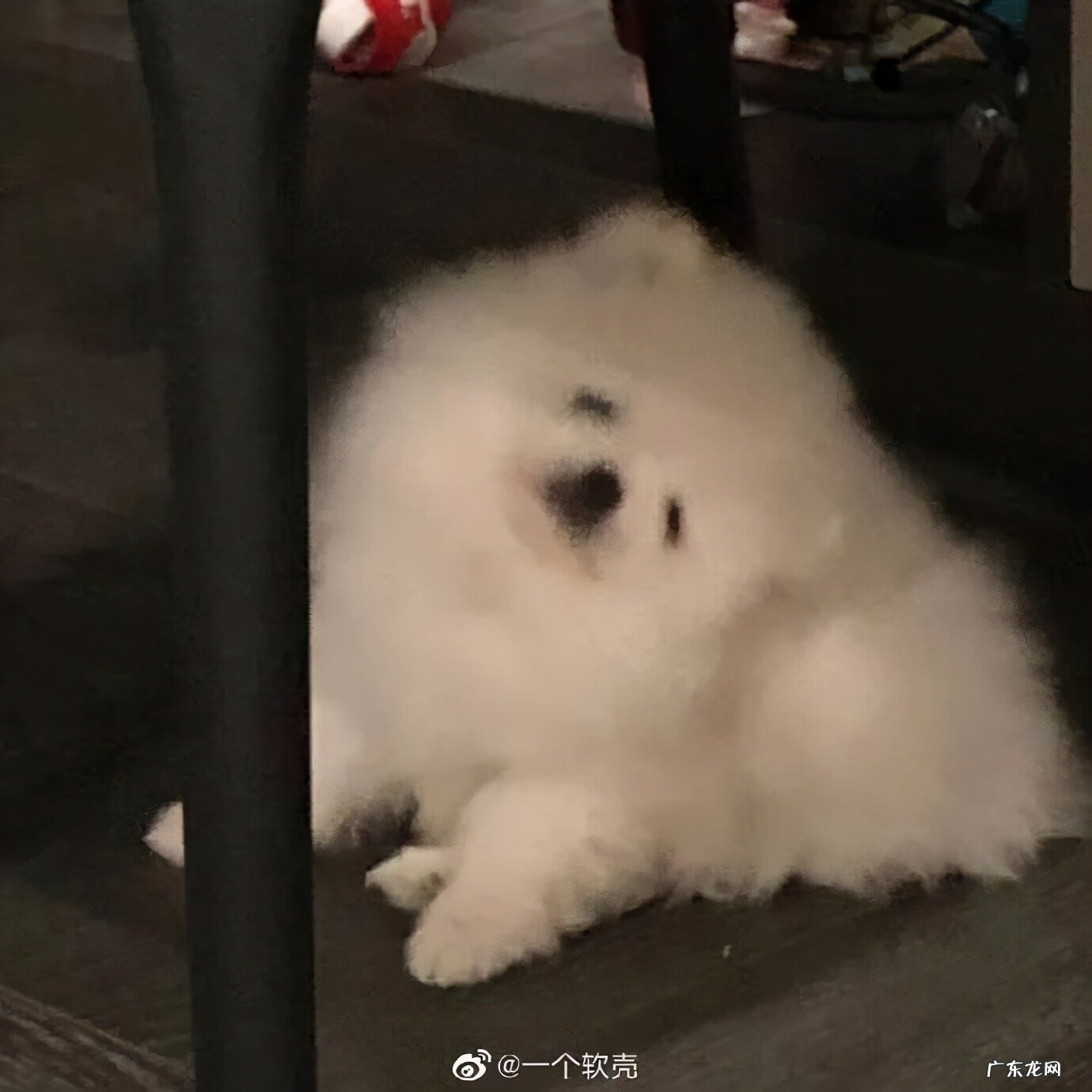 日常聊天表情包图片 聊天表情图片大全