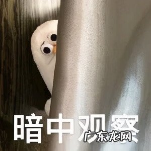 日常聊天表情包图片 聊天表情图片大全