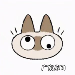 日常聊天表情包图片 聊天表情图片大全