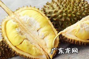 榴莲适合什么时候种 榴莲怎么种才能发芽结果