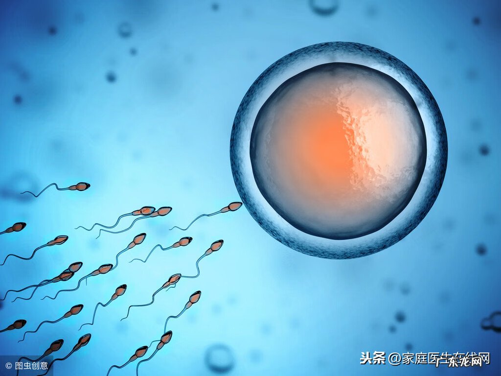 上环对身体有哪些危害 上环有什么坏处吗