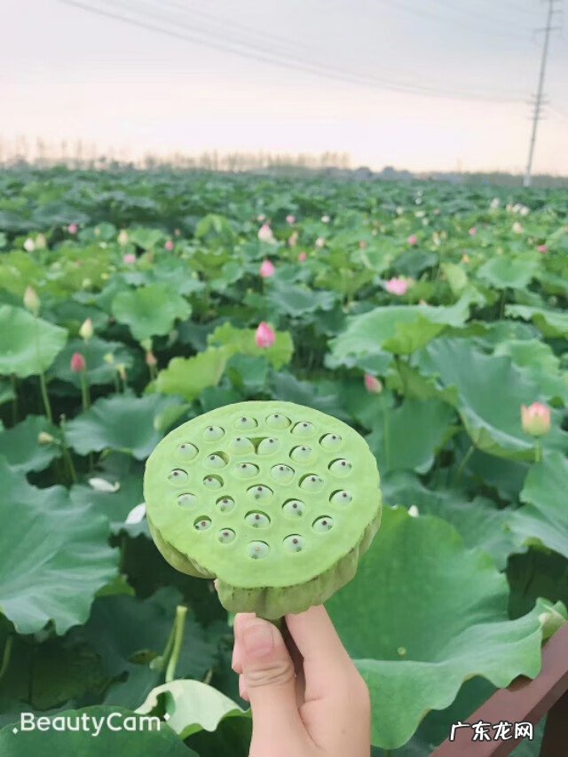 前列腺炎怎么治疗最好的方法 前列腺炎怎么治好