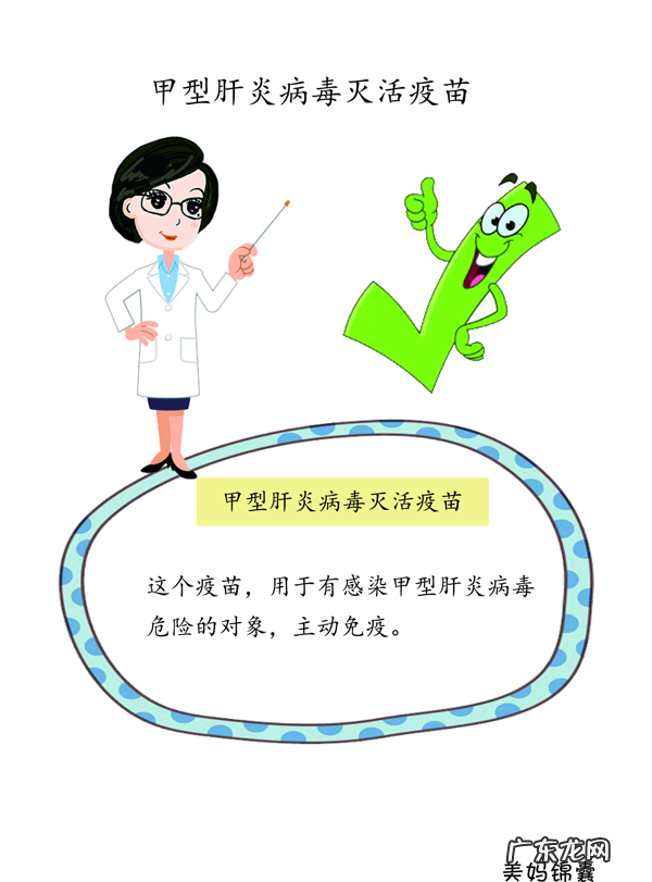 甲肝乙肝疫苗 甲肝疫苗