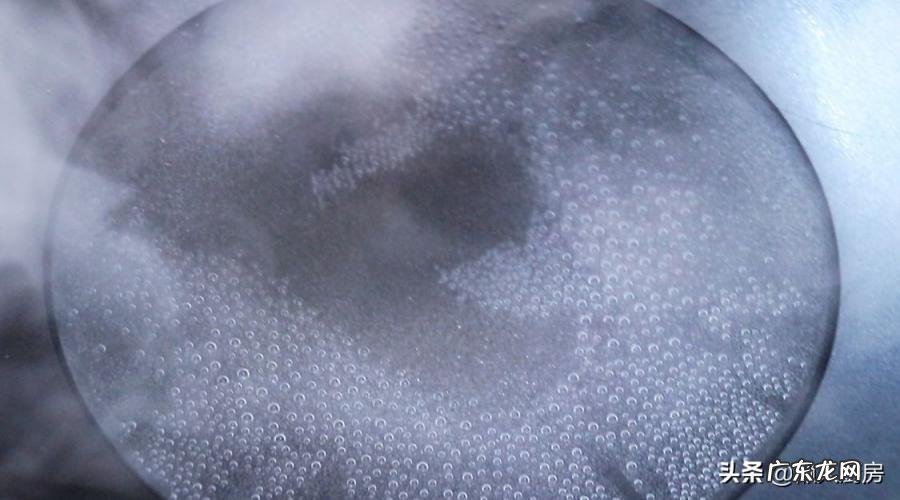 爆炒八爪鱼的做法视频 八爪鱼app