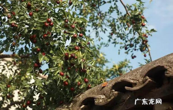 大雾在风水上的说法 风水上绿谷有什么说法