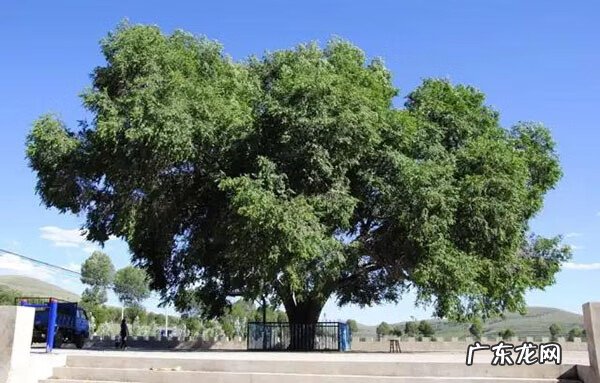 大雾在风水上的说法 风水上绿谷有什么说法
