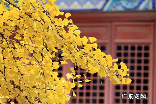 大雾在风水上的说法 风水上绿谷有什么说法