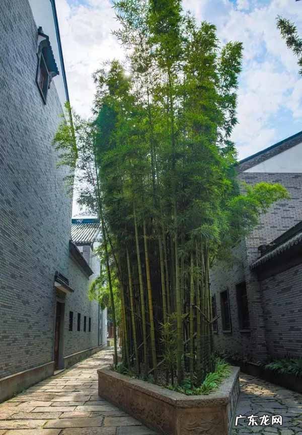 大雾在风水上的说法 风水上绿谷有什么说法