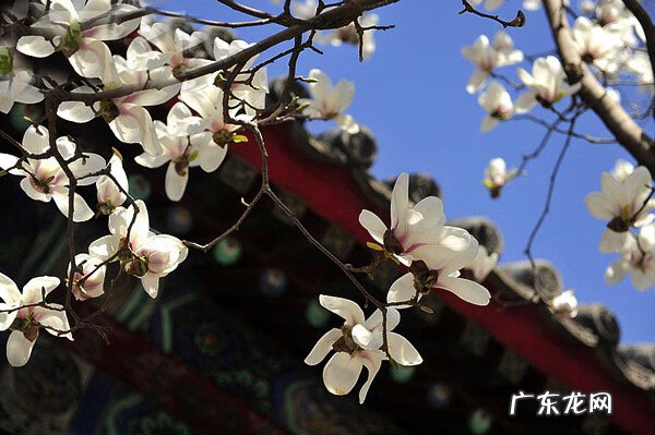 大雾在风水上的说法 风水上绿谷有什么说法