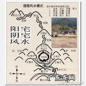 风水里最吉祥的花 风水两个字