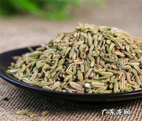 茴香菜又叫什么菜 茴香菜的功效与作用