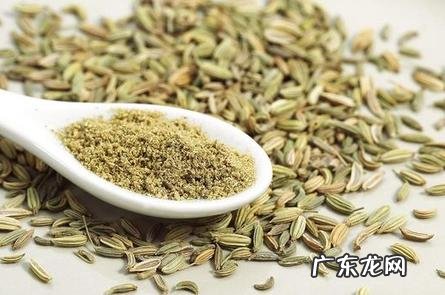 茴香菜又叫什么菜 茴香菜的功效与作用